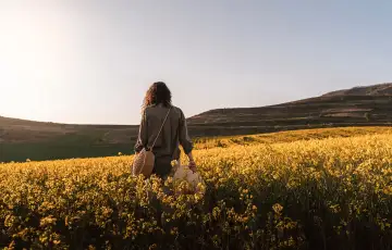 Setembro: O Mês de Florescer e Ressignificar Feridas do Passado