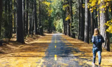 Recomeçar no segundo semestre: o que seu corpo quer te dizer? Julho é o mês da virada emocional.