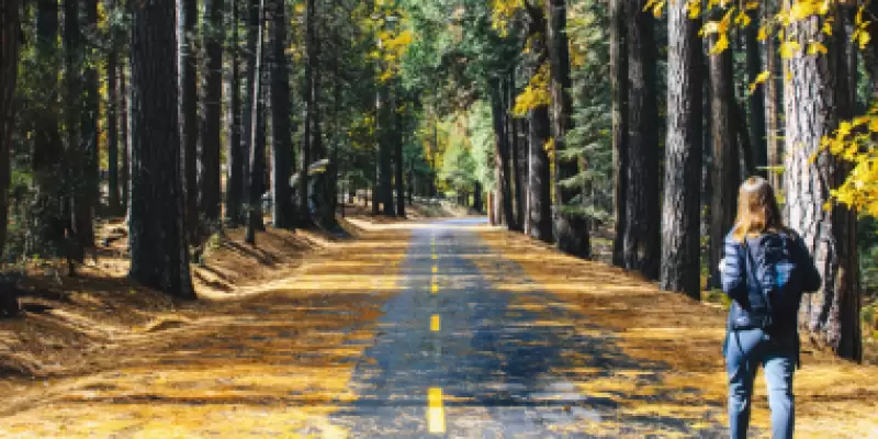 Recomeçar no segundo semestre: o que seu corpo quer te dizer? Julho é o mês da virada emocional.