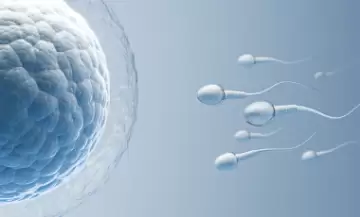 Fertilidade e Bem-Estar: Como Preparar Seu Corpo para a Maternidade com Homeopatia