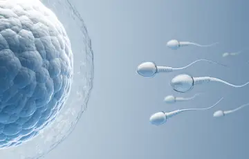 Fertilidade e Bem-Estar: Como Preparar Seu Corpo para a Maternidade com Homeopatia