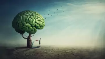 Transforme Sua Saúde Mental: O Poder da Homeopatia e do Método FourFeel