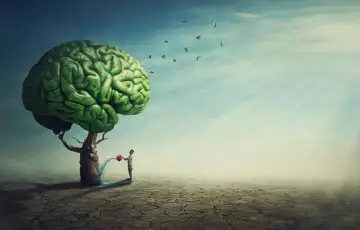 Transforme Sua Saúde Mental: O Poder da Homeopatia e do Método FourFeel