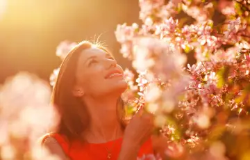 A Primavera Dentro de Você: Como Setembro Pode Ser Um Recomeço